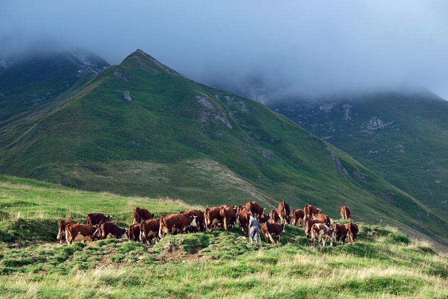 restaurant savoyard Haute Savoie